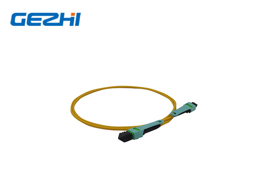 acheter La correction optique de fibre de MPO OM3 attachent 12 PDL de câble de tronc de la fibre MPO le bas online manufacture
