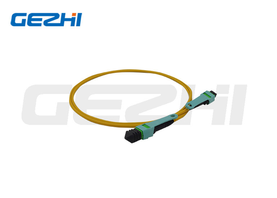 12 - 144 Corde de patch à fibre optique OS2 MTP/MPO