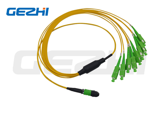 MTP/MPO Trunk Cabe 12 cœurs/24 cœurs/48 cœurs/72 cœurs/96 cœurs/144 cœurs OS2 Cordon de raccordement à fibre optique