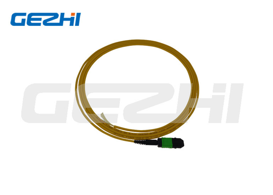 SM 9/125 Mpo Lc Fibre optique Pigtail Patchcord avec et longueur personnalisée