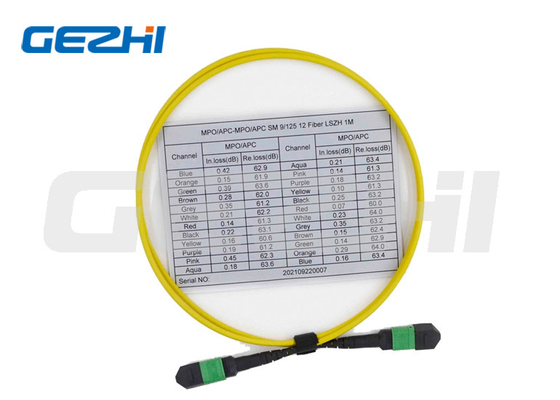 Série de câbles de raccordement multimode à 12 fibres Câble femelle OS2 9/125 MPO