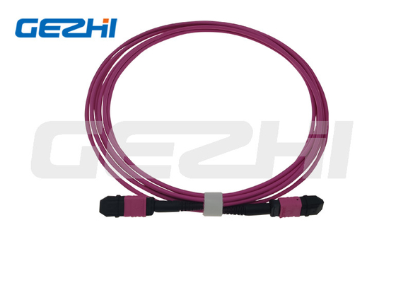 12 fibres LC duplex 1x6 à MTP câbles MPO MPO OM4 câble de patch