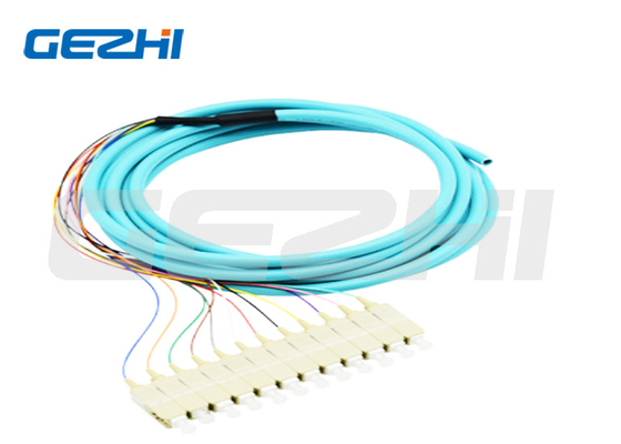 12 cœurs Pigtail en fibre optique SC PC Multimode OM3 Distribution Pigtails optiques 0,9 mm pour la transmission de données