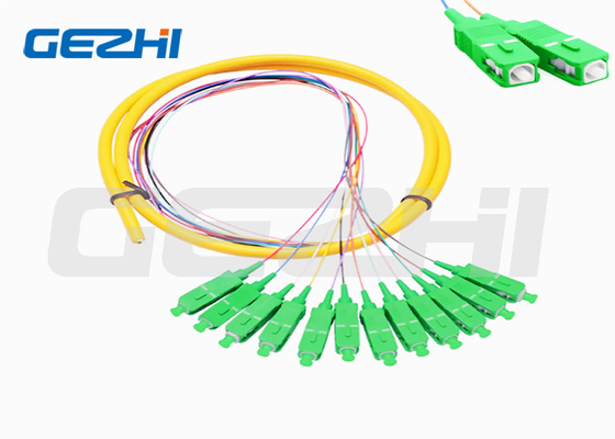 9/125 Pigtail en fibre optique 1,2 m SC/APC à mode unique 12 câbles à fibre optique